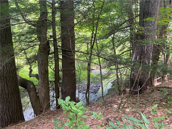 925 Haytown Rd, Home with 0 bedrooms, 0 bathrooms and null parking in Grampian PA | Image 4