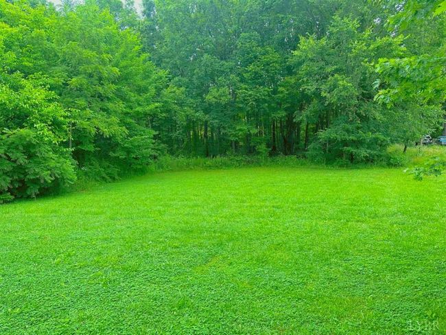 159 Webster Dr, House other with 3 bedrooms, 1 bathrooms and null parking in Concord VA | Image 26