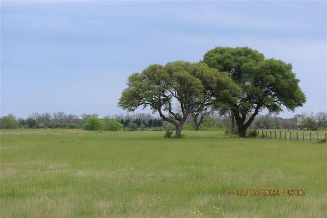 1030 Highway 71, Home with 0 bedrooms, 0 bathrooms and null parking in Columbus TX | Image 18
