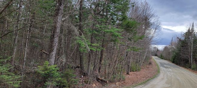 Lot 12 Mirror Lake Estates Dr, Home with 0 bedrooms, 0 bathrooms and null parking in Whitefield NH | Image 16