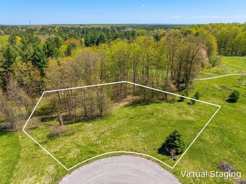 00 Cameron Ct, Lake Ann, MI, 49650 | Card Image