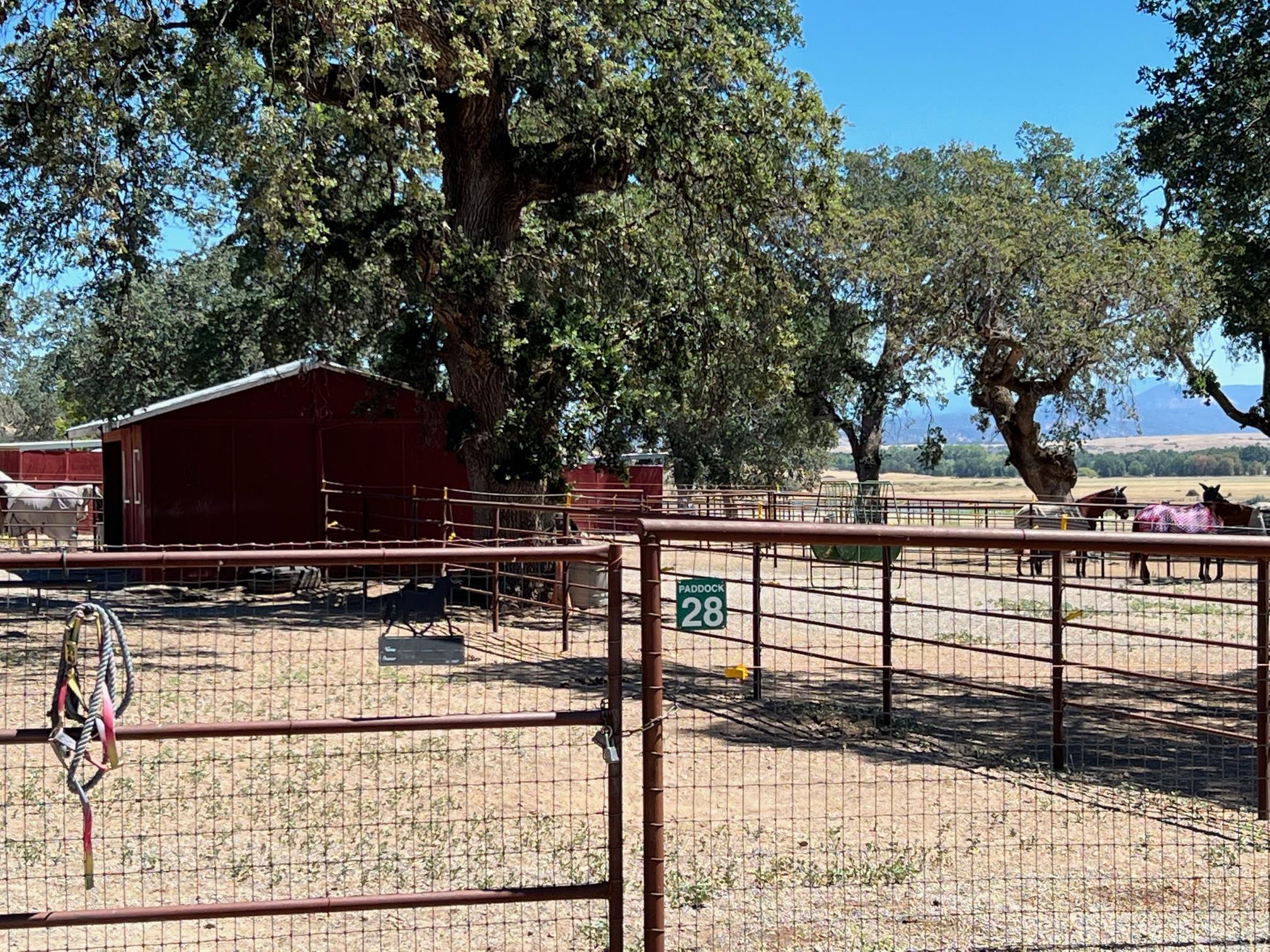 Land in Cottonwood 3