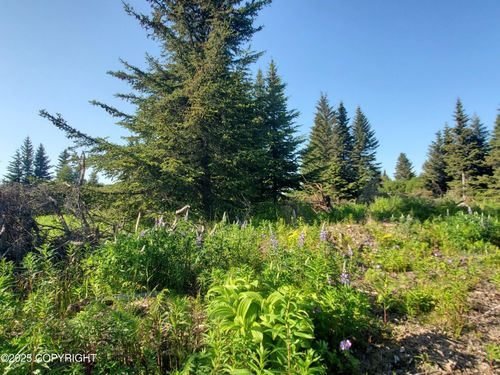 17589 Chefornak St, Ninilchik, AK, 99639 | Card Image