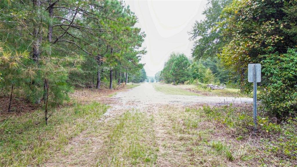 Land in Oglethorpe 5