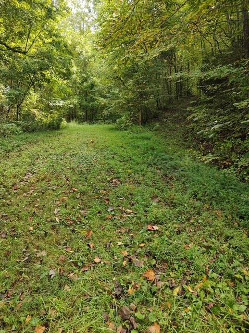 0 Yellow Branch Cir, Robbinsville, NC, 28771 | Card Image