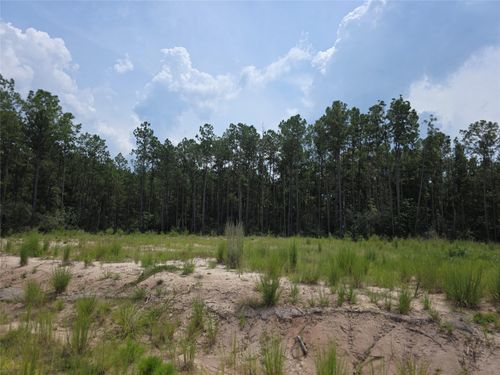 135 Rayburn Reserve Dr, Brookeland, TX, 75931 | Card Image