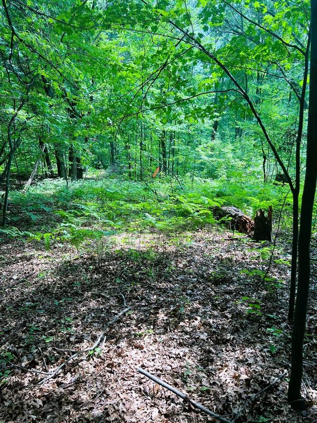 Lt0 Airport Rd, Home with 0 bedrooms, 0 bathrooms and null parking in Shawano WI | Image 8