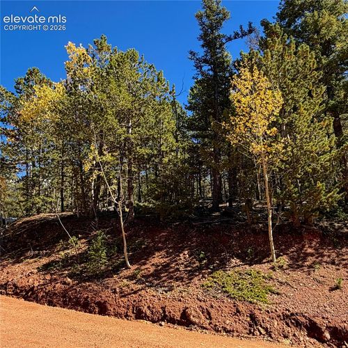 624 Witherite Drive, Divide, CO, 80814 | Card Image