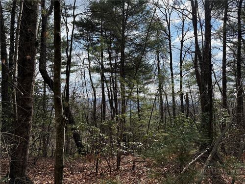 Lots 51 & 52A Staghorn Road, Purlear, NC, 28665 | Card Image