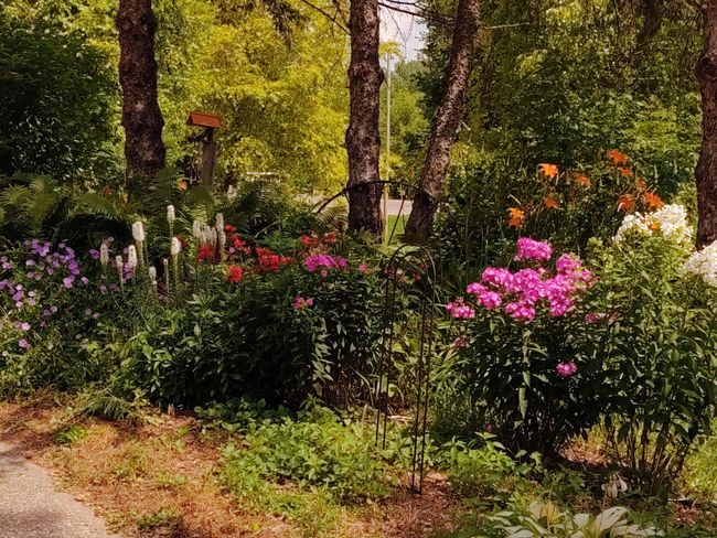 Beautiful landscaping throughout the park | Image 24