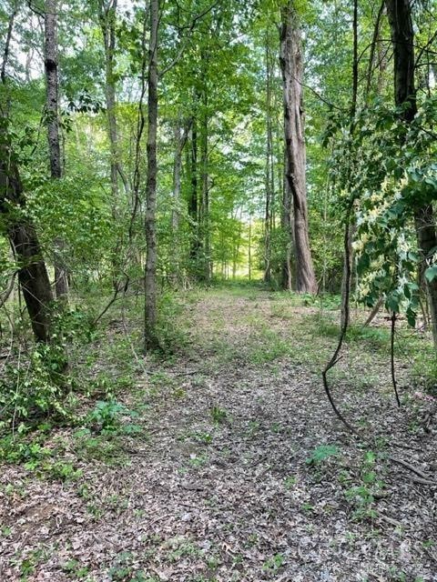 Land in Bethel Twp 5