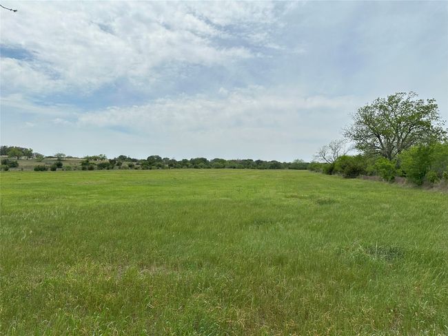 View of nature featuring a rural view | Image 6