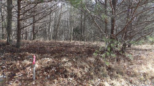 0 Meadow Ln, Spencer, TN, 38585 | Card Image