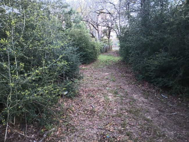 152 Palamino Ct, House other with 2 bedrooms, 2 bathrooms and 5 parking in Paige TX | Image 9