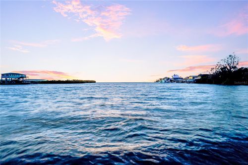 14603 Mcdonald Ln, HUDSON, FL, 34667-1003 | Card Image