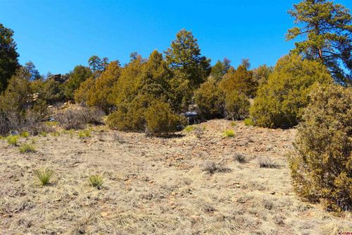 67 Hillside Ln, South Fork, CO, 81154-9795 | Card Image