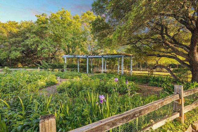 A view of the side garden arbor. | Image 34
