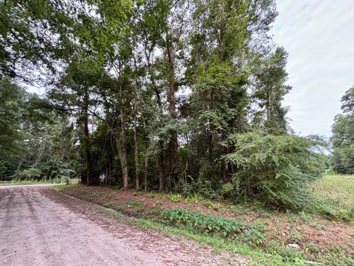 0 Glayton Dr, Ravenel, SC, 29470 | Card Image