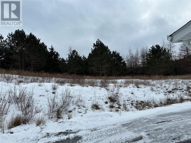 39 D & E Souther Path Road, Home with 0 bedrooms, 0 bathrooms and null parking in Conception Hr. NL | Image 25