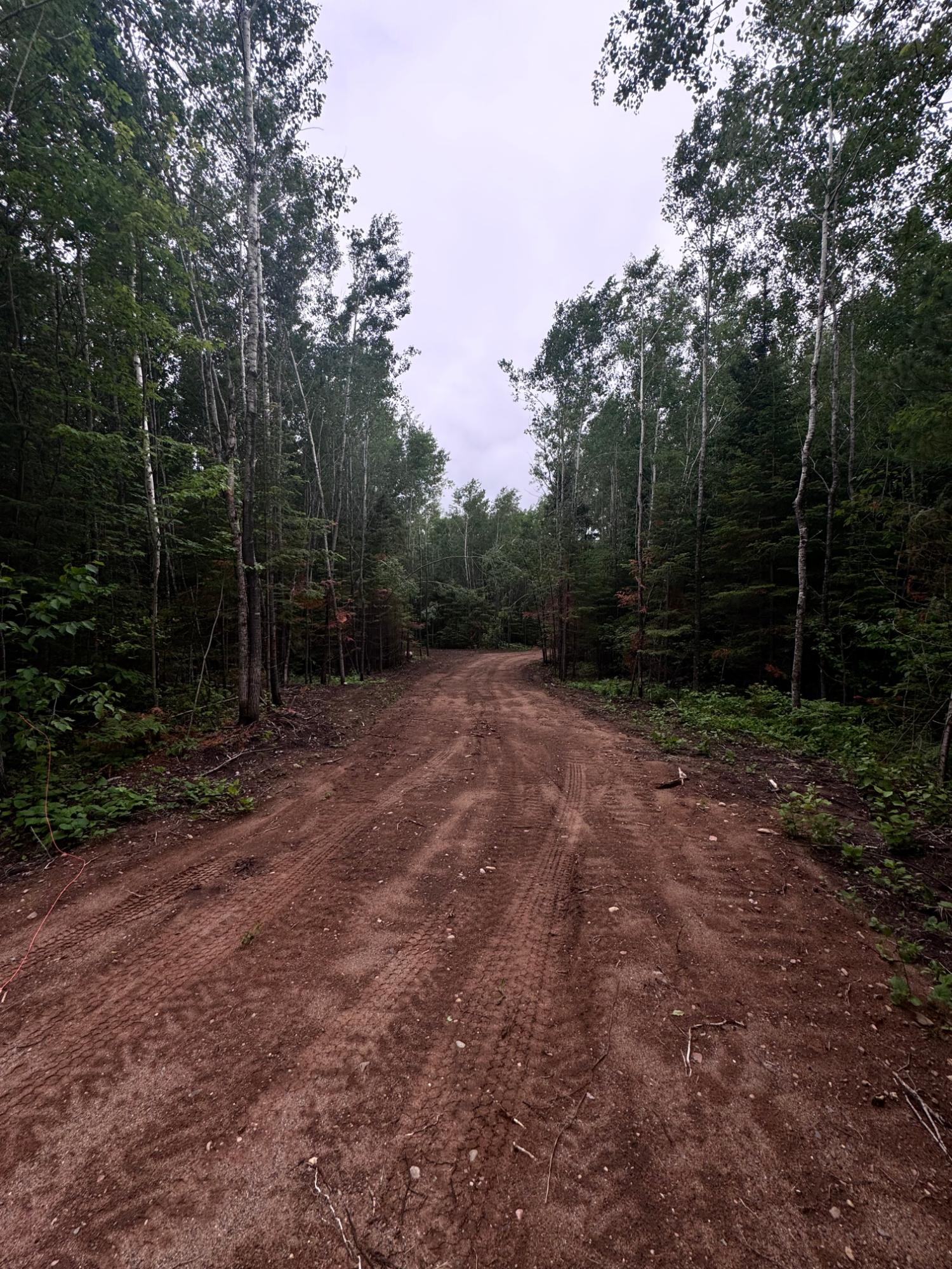 Land in Minocqua 2