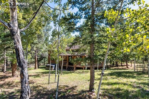 206 Pinto Dr, Woodland Park, CO, 80863-2106 | Card Image