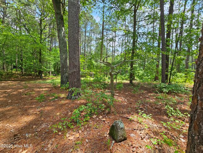 181 Joel Rd, Home with 0 bedrooms, 0 bathrooms and null parking in Carthage NC | Image 31