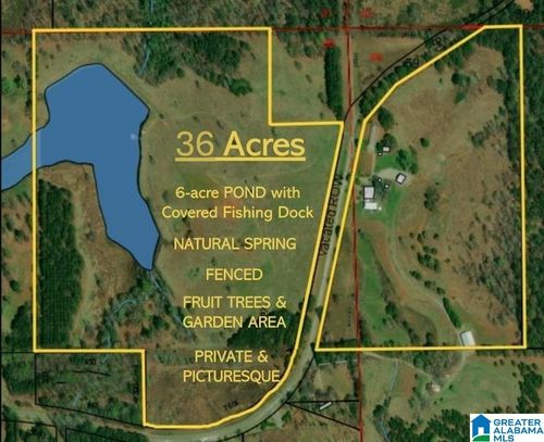 36a-36 acres Coosa County Road 120, Rockford, AL, 35136-4501 | Card Image