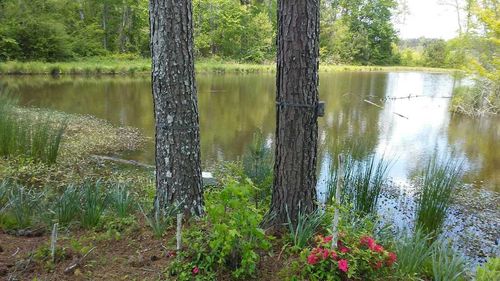 000 Co Rd 1069, Vinemont, AL, 35179 | Card Image