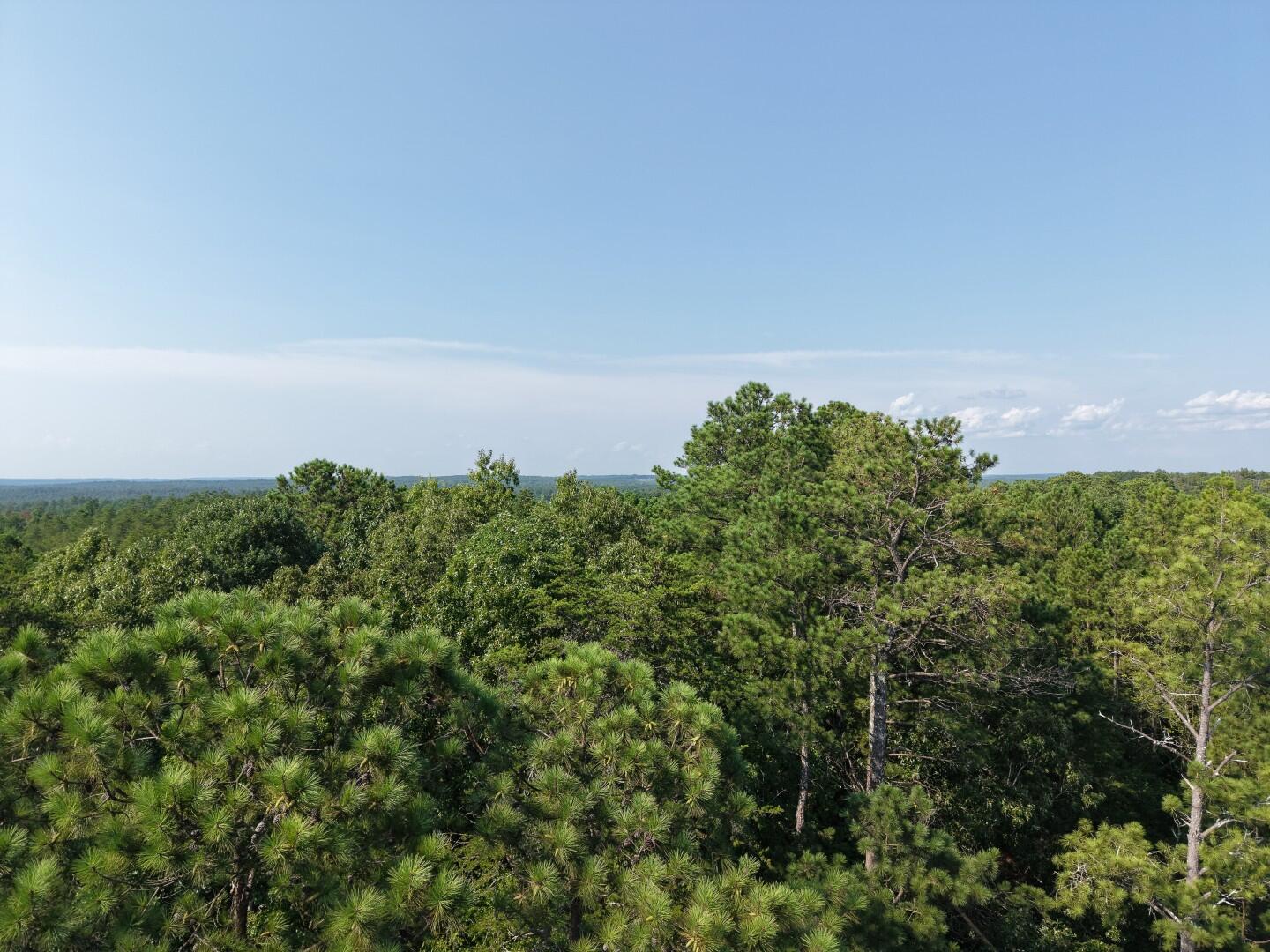 Land in Winnsboro 4