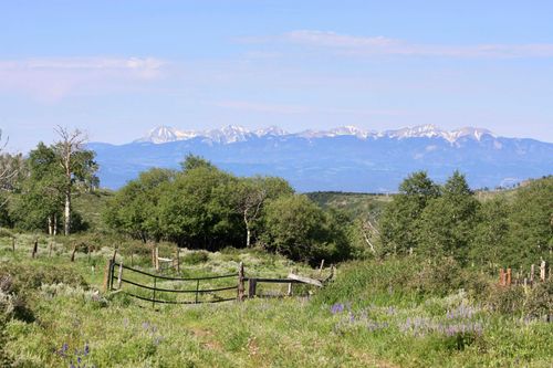 12951 Ms Road, Glade Park, CO, 81522 | Card Image