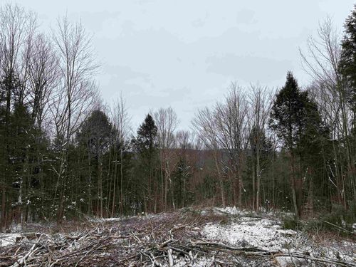 0 Fall Brook Rd, Lyndonville, VT, 05851 | Card Image