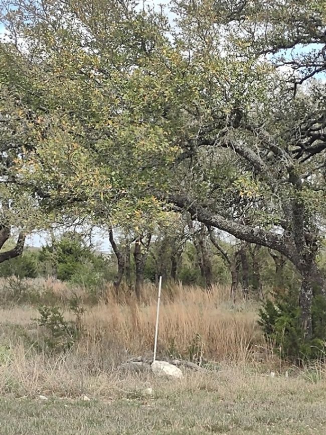 View of local wilderness | Image 8