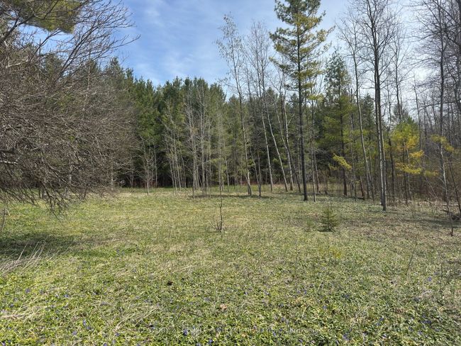 6081 Hwy 89, Clifford Road, Home with 0 bedrooms, 0 bathrooms and null parking in Minto ON | Image 4