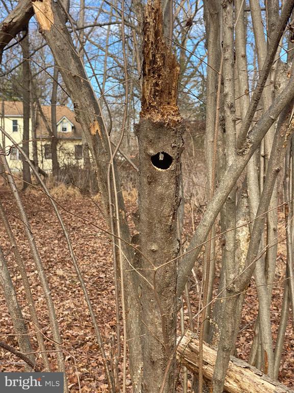 Land in MOUNT LAUREL 5