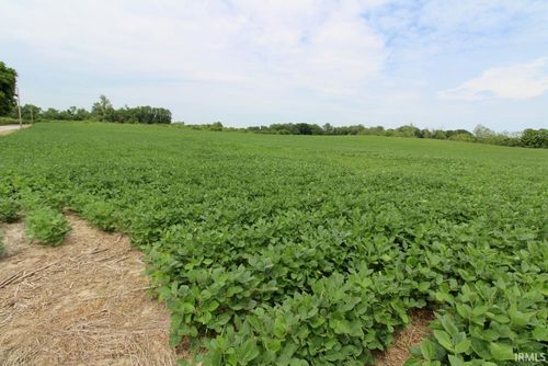 0 450, Hazleton, IN, 47640 | Card Image