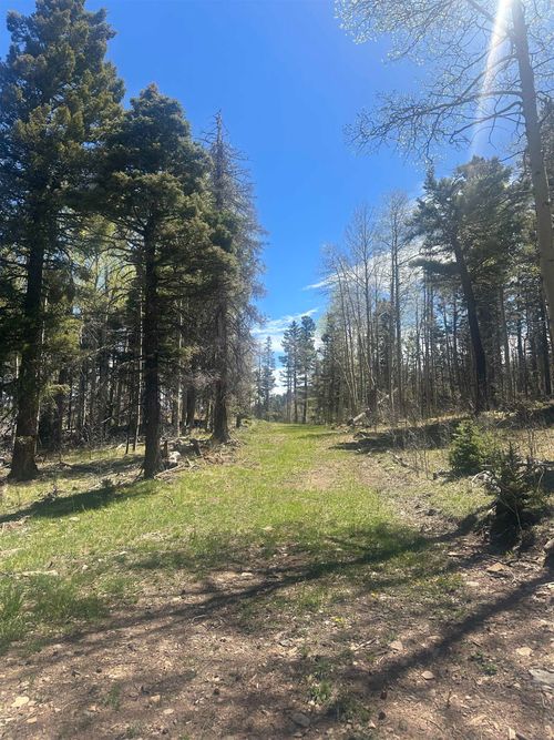 86 Elk Horn Dr, Angel Fire, NM, 87710 | Card Image