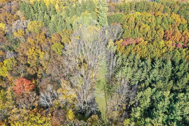 28.7 Acres Turkey Road, Home with 0 bedrooms, 0 bathrooms and null parking in BERRY WI | Image 17