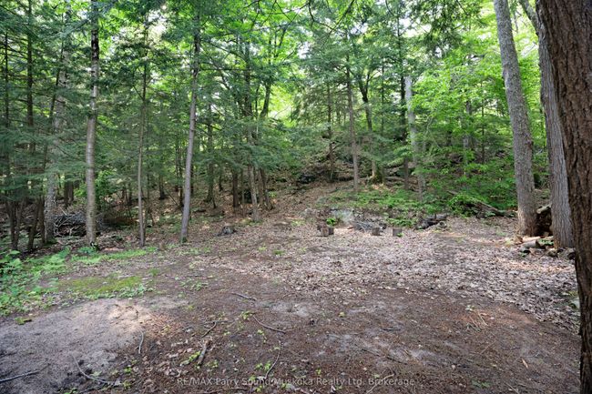 203 Healey Lake Rd, House other with 2 bedrooms, 1 bathrooms and null parking in Mactier ON | Image 31