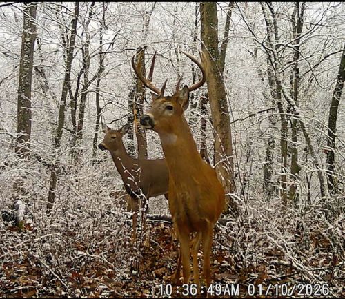 14094 Three Mile Rd, Thomson, IL, 61285 | Card Image