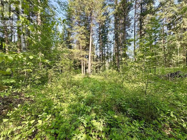 Lot 43 Rainbow Cres, Home with 0 bedrooms, 0 bathrooms and null parking in Canim Lake BC | Image 6