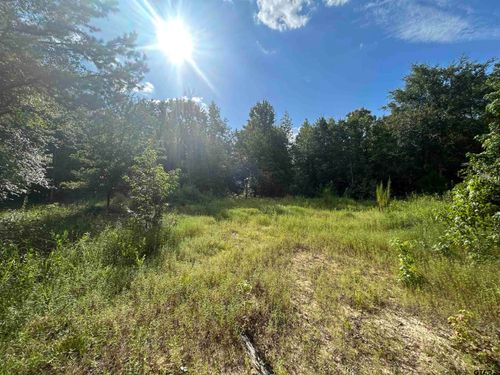 TBD Franklin Rd, Hallsville, TX, 75650 | Card Image