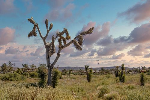 129 Annie Oakley Rd, Pioneertown, CA, 92268 | Card Image