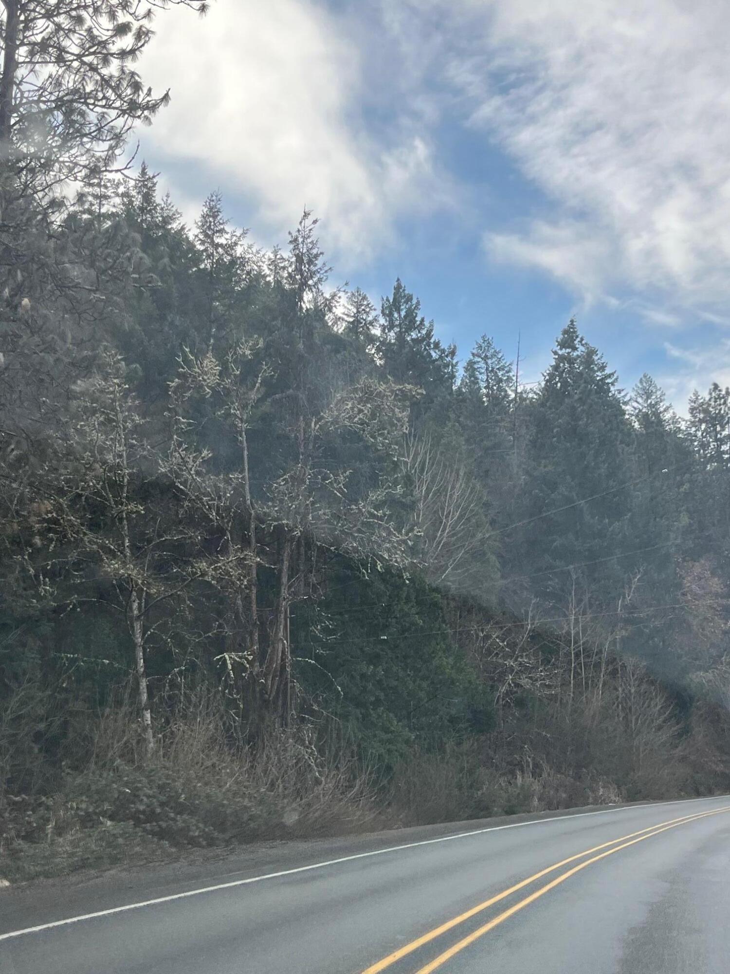 Land in Rogue River 3