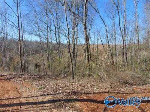 341 County Road 342, Killen, AL, 35645-3057 | Card Image