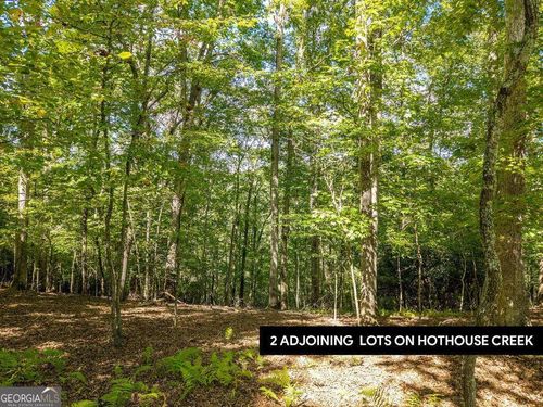 2728-LT 27/28 Donna Lee Lane, Mineral Bluff, GA, 30559 | Card Image
