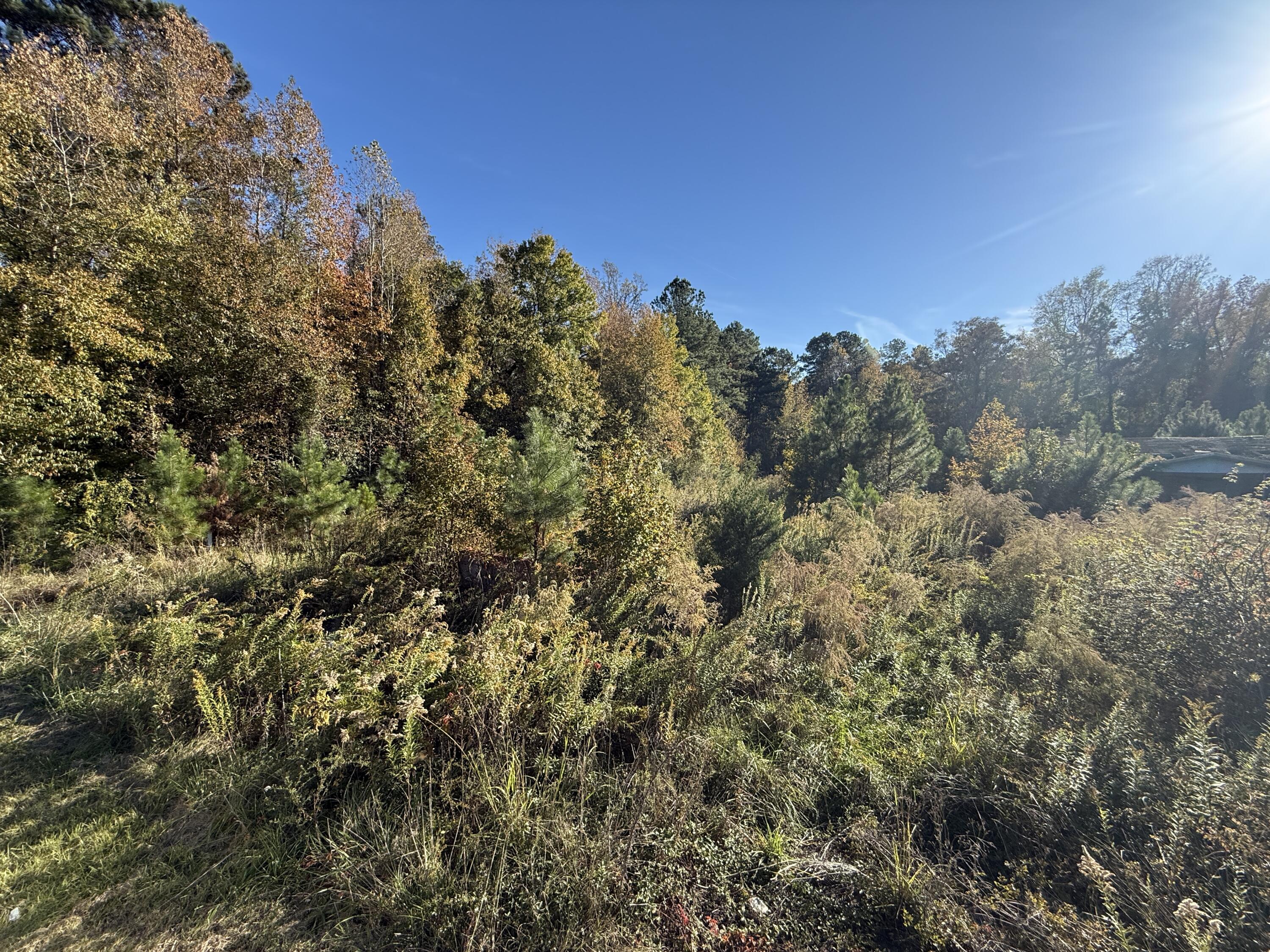 Land in Kingstree 3