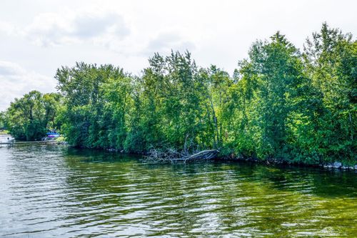 TBD Birchmont Dr Ne, Bemidji, MN, 56601 | Card Image