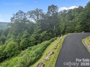 Land in Hendersonville 4