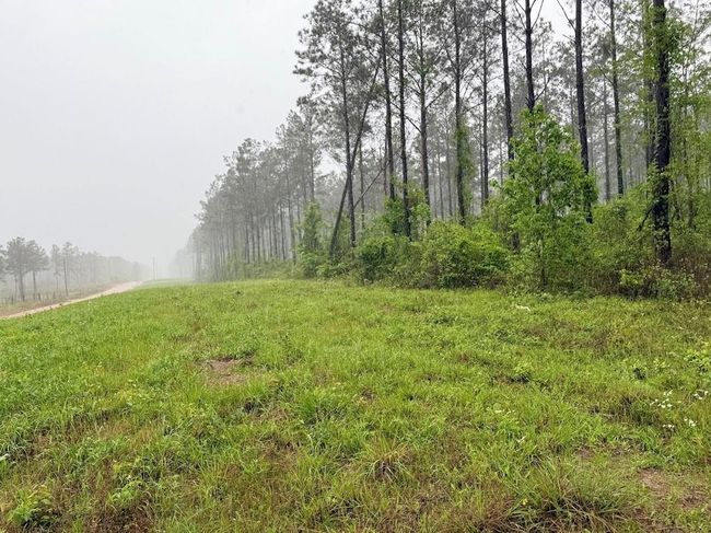 0 Richardson Rd E, Home with 0 bedrooms, 0 bathrooms and null parking in Livingston TX | Image 41