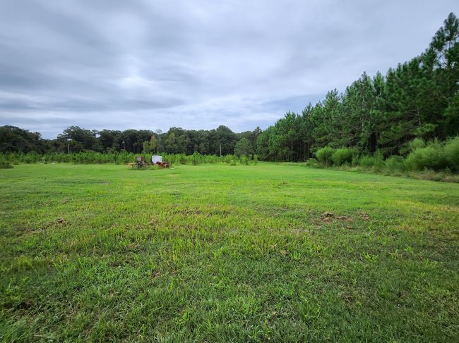 2250 Enon Rd, House other with 3 bedrooms, 2 bathrooms and 3 parking in COOLIDGE GA | Image 41
